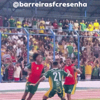 Barreirasfcresenha GIF