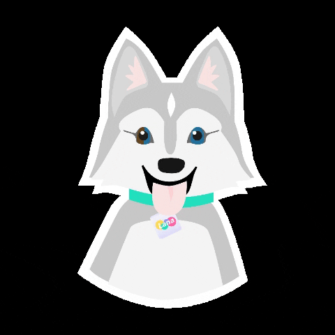 lana_education giphygifmaker dog math lana GIF