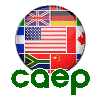 Wine Horse Sticker by CAEP