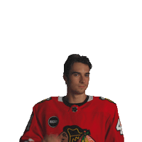 Happy Ice Hockey Sticker by NHLBlackhawks