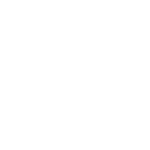 Star Sparkle Sticker