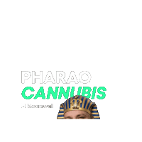 Pharao Sticker by Bloomwell