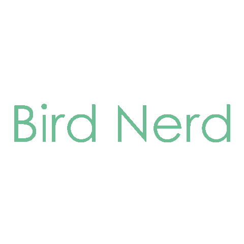 Bird Vogel Sticker by The_Taxifurmist