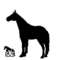 Sxc Sticker by Super X Country