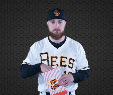 SaltLakeBees giphyupload eating stare popcorn GIF