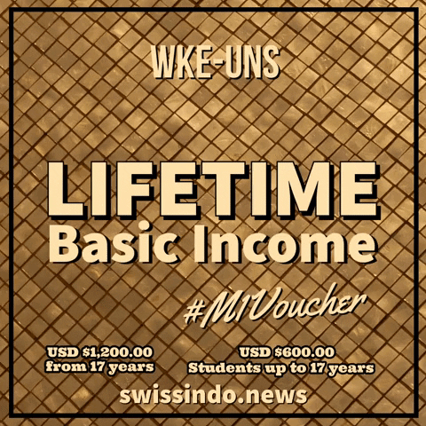 WKEUNS giphyupload basic income p1to11 m1voucher GIF