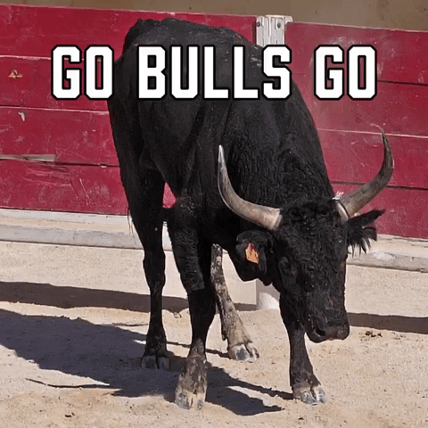 Go Bulls Go