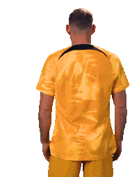 Janssen Fifaworldcup Sticker by OnsOranje