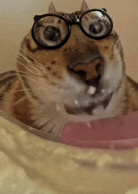 GIF by Martin