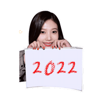 Happy New Year Sticker by koreadispatch