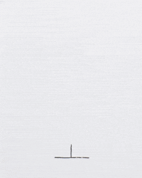 REEL cintascotch 2021