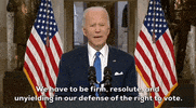 Right To Vote Joe Biden GIF by GIPHY News