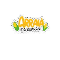 Arraia Festajunina Sticker by Guarani Sistemas