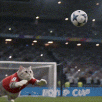 World Cup Oops GIF