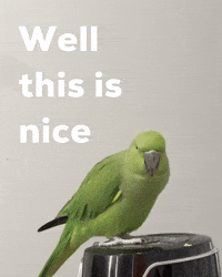 Happy Pleasantly Surprised GIF