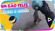 GIF by abana a cauda