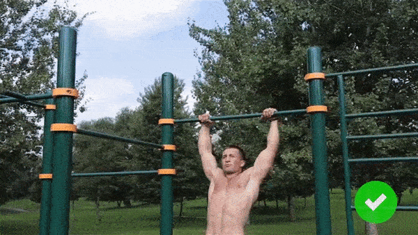 bodybuilding-and-fitness giphyupload podtyagivaniya vyhod-siloy GIF