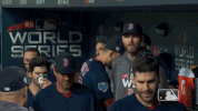 World Series Sport GIF by MLB