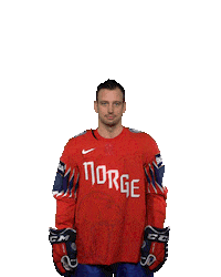 Ice Hockey Goal Sticker by International Ice Hockey Federation