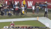 Regular Season Football GIF by NFL