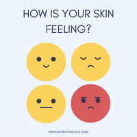 nutbotanicals skincare skin nut nut botanicals GIF