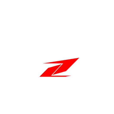 ZandonaOfficial giphygifmaker logo equestrian horse riding Sticker