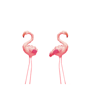 Elefante Sticker by NK