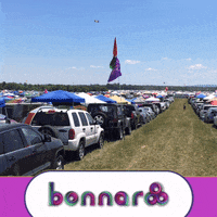 GIF by Bonnaroo Music and Arts Festival