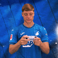 Sport Bundesliga GIF by TSG Hoffenheim