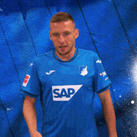 Pavel Kaderabek Sport GIF by TSG Hoffenheim