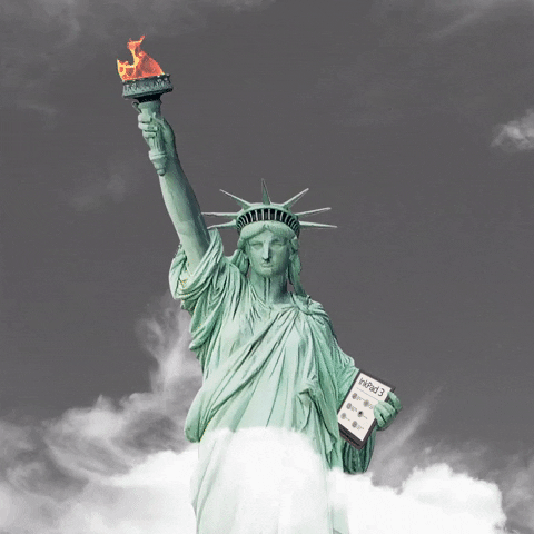 Liberty Statue GIF by PocketBook