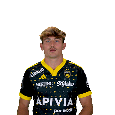 Sport Celebration Sticker by Stade Rochelais