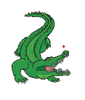 New Orleans Roll Sticker by @cajun_steamer