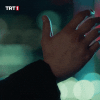 Greeting Tolga Saritas GIF by TRT