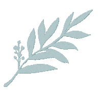 OlgaKhatkovskaya flower leaves branch цветы Sticker