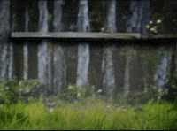 Our Brains Are Shrinking GIF