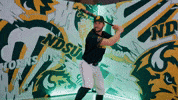 Baseball Bison GIF by NDSU Athletics