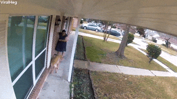 Lady Drags Disobedient Doggy Inside
