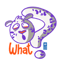 Confused Snow Sticker