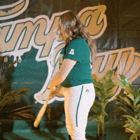 South Florida Horns Up GIF by USF Athletics