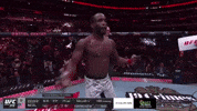 Geoff Neal Sport GIF by UFC