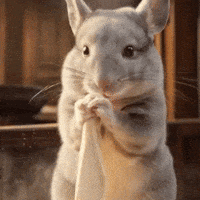 Pizza Sue GIF
