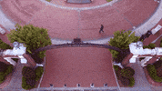 college tour GIF by Florida State University