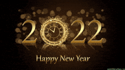 New Year Celebration GIF by echilibrultau