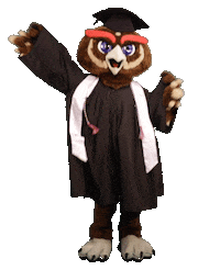 Graduation Owlsley Sticker by Florida Atlantic University