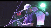 guitar reggae GIF by Verticals Agency