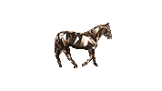 Animation Glitch Sticker by ZEDRUN