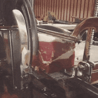 GIF by Giffffr