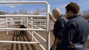 GIF by The Incredible Dr. Pol