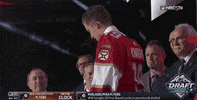 nhl sports sport hockey nhl GIF